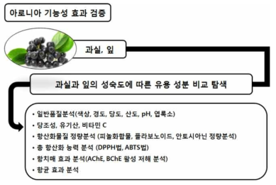 아로니아의 기능성 효과 검증을 위한 추진체계