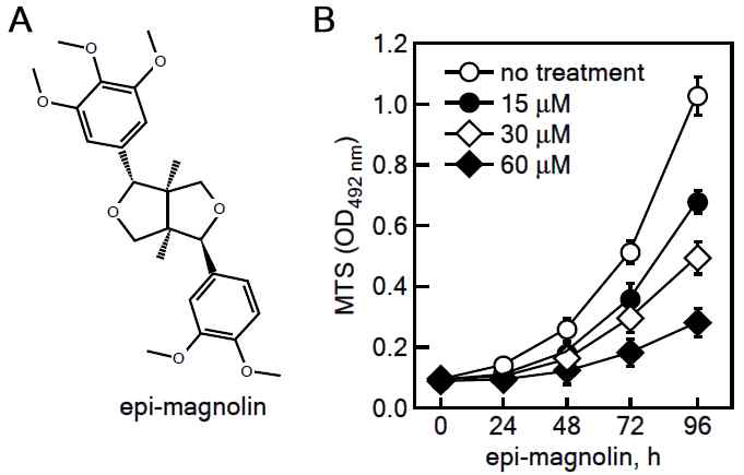 epi-magnolin의 세포성장 억제 효능. (A) epi-magnolin의 화학구조. (B) epi-magnolin처리에 따른 JB6 Cl41세포의 성장 억제효과 확인
