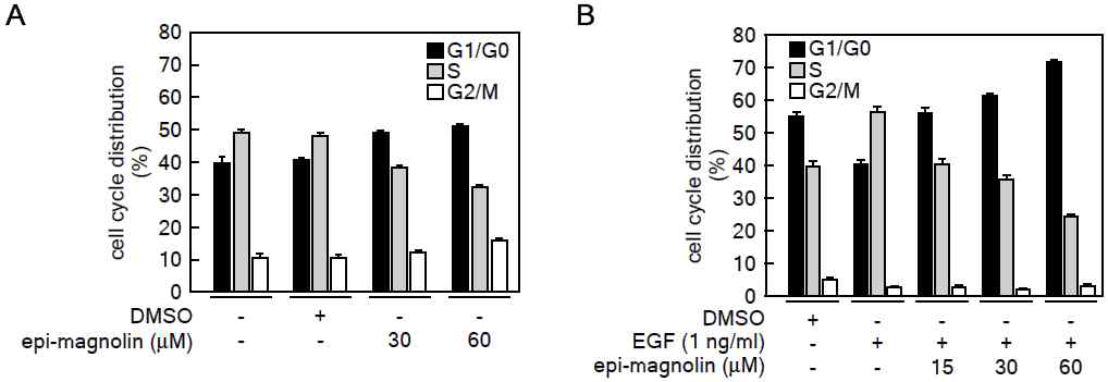 epi-magnolin 처리에 따른 세포주기 분석. (A) 일반적인 세포배양 상태에서 epi-magnolin 처리에 의한 세포주기 변화. (B) EGF와 epi-magnolin 처리에 따른 세포주기 변화