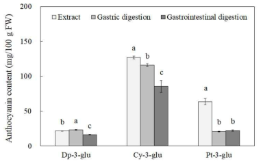 대표식품 추출물의 소화단계별 안토시안의 함량. Values with different letters on the bar are significantly different digestion process (p<0.05). Dp-3-glu, delphinidin-3- glucoside; cy-3-glu, cyanidin-3-glucoside; pt-3-glu, petunidin-3-glucoside