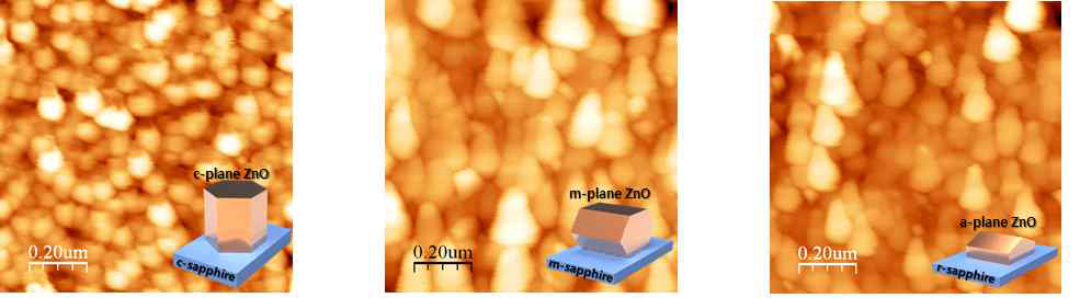 190도에서 성장된 분극 c-면(좌), 무분극 m-면(중) 및 a-면 (우) ZnO 의 AFM이미지