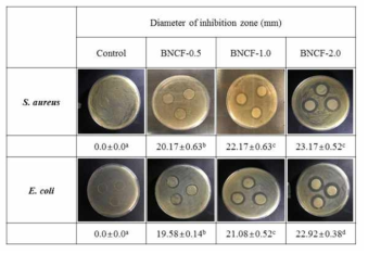 Inhibition zones of S. aureus and E. coli after exposure to the crosslinked alginate film (control) and BNCFs containing 0.5-2.0%