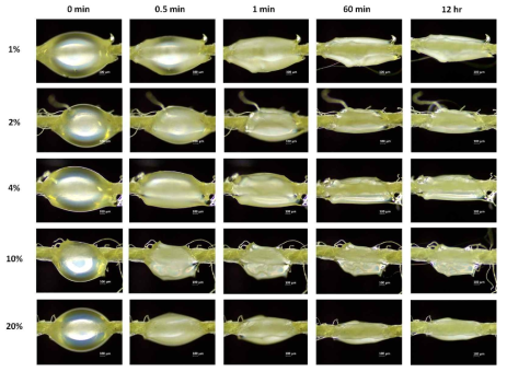 Optical microscope images of microbeads of 1-20% of PLA resins over time