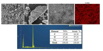 SEM/EDS analysis of egg shell nanoparticles