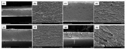 SEM images of fractured surface of chitosan (a,b), chitosan/ESP (c,d), HPMC (e,f), and HPMC/ESP (g,h) composite films