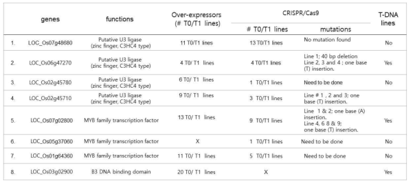 ‘AMT1-dependent 암모니움 반응’ 제어 인자의 과발현, CRISPR/Cas9 및 T-DNA 변이