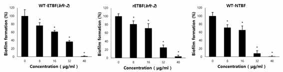 Inhibitory effects of zerumbone on B. fragilis biofilm formation (BIC90). The BIC90 of zerumbone for WT-ETBF and rETBF was 48 μg/mL. The BIC90 for WT-NTBF was 32 μg/mL. Asterisks (*) represent p < 0.05 compared with non-treated controls (without zerumbone)