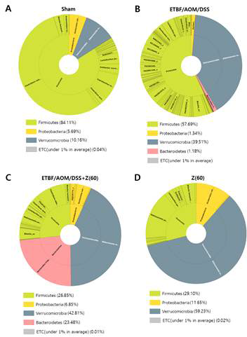 Bacterial community composition of cecum contents in each group. The relative abundances of 16S rRNA gene sequences (V3-V4 region), classified to the phylum (inner pie) and species (outer pie) level, are shown. Firmicutes, the phylum to which Clostridium clostridioforme group belongs was the major phylum in (A) sham control and (B) ETBF-colonized AOM/DSS group. Verrucomicrobia the phylum to which Akkermansia muciniphila belongs was the major phylum in (C) ETBF-colonized AOM/DSS group administered with 60 mg kg-1 zerumbone and (D) control group administered with 60 mg kg-1 zerumbone. Abbreviations of group names are as follows: Sham, sham control; ETBF/AOM/DSS, ETBF colonized AOM/DSS; ETBF/AOM/DSS + Z(60), ETBF colonized AOM/DSS given zerumbone (60 mg kg-1); Z (60), zerumbone (60 mg kg-1)