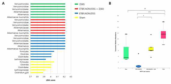 LEfSe analysis of different abundance levels. (A) Histogram of LDA scores for different abundance levels. LDA scores represent the effect size of each abundance level. Levels enriched in each group with an LDA score >2 are considered. (B) Taxonomic relative abundant box plot of Proteobacteria. LDA score was calculated using LEfSe, a metagenome analysis approach. Abbreviations of group names are as follows: Sham, sham control; ETBF/AOM/DSS, ETBF colonized AOM/DSS; ETBF/AOM/DSS + Z(60), ETBF colonized AOM/DSS given zerumbone (60 mg kg-1); Z (60), zerumbone (60 mg kg-1)