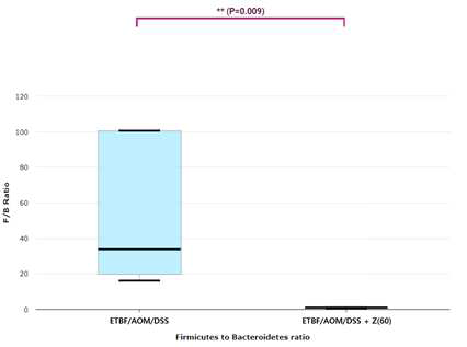 Firmicutes to Bacteroidetes ratio (F/B ratio). F/B ratio of ETBF colonized AOM/DSS and ETBF colonized AOM/DSS given zerumbone (60 mg kg-1). The F/B ratio of ETBF colonized AOM/DSS was significantly higher than that of ETBF colonized AOM/DSS given zerumbone (60 mg kg-1) group. Abbreviations of group names are as follows: ETBF/AOM/DSS, ETBF colonized AOM/DSS; ETB/AOM/DSS + Z(60), ETBF colonized AOM/DSS given Zerumbone (60 mg kg-1)