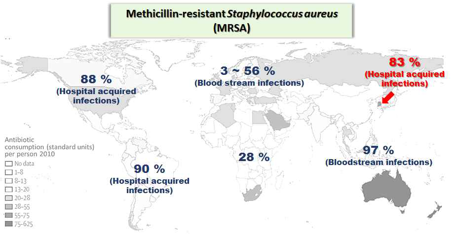 메티실린 내성 황색포도상구균의 분포도
