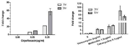 농도별 시간별 다양한 항생제 처리 시 나타나는 SMP 발현 (RT-qPCR)