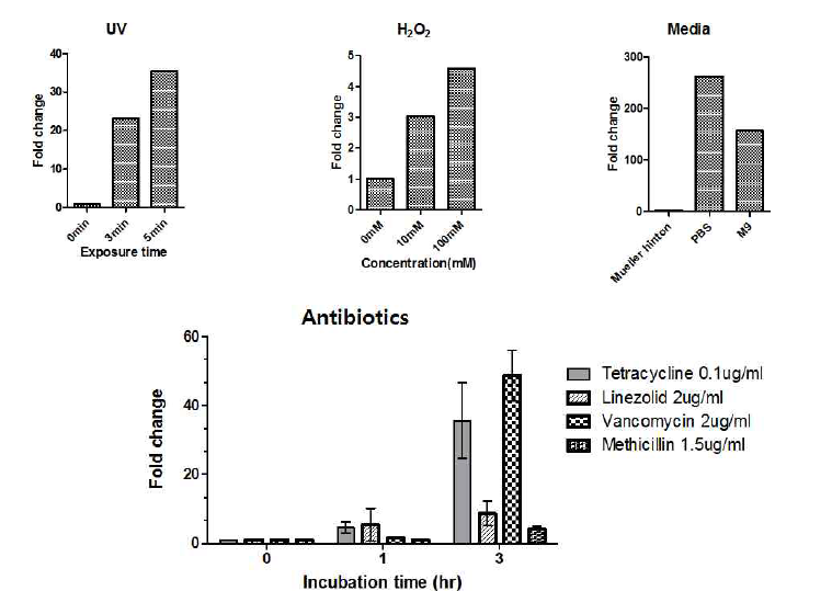 다양한 스트레스에 대한 SMP 발현. 12J/m2 UV radiation 0, 3, 5분, H2O2 (10, 100mM) 1 시간, nutrient dpletion media (PBS, M9)에서 1시간, 또는 항생제 1 혹은 3시간 처리 후 SMP 측정