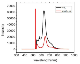 graphene과 적층한 WS2의 PL 특성
