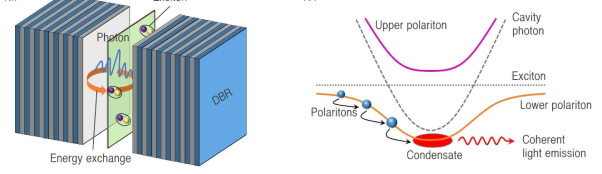 (a) 엑시톤과 microcavity 포톤 간의 에너지 교환, (b) 엑시톤-폴라리톤의 dispersion과 폴라리톤의 산란을 통한 바닥상태 응축