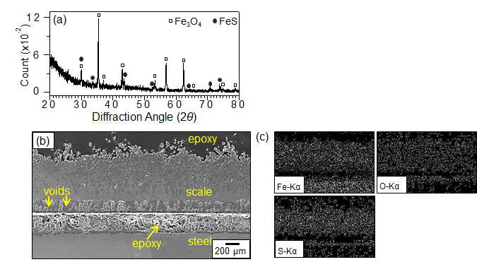 Uncoated carbon steel after corrosion at 700 ℃ for 50 h in Ar/1%SO2 gas. (a) XRD pattern, (b) SEM cross-sectional image, and (c) EDS maps of (b)