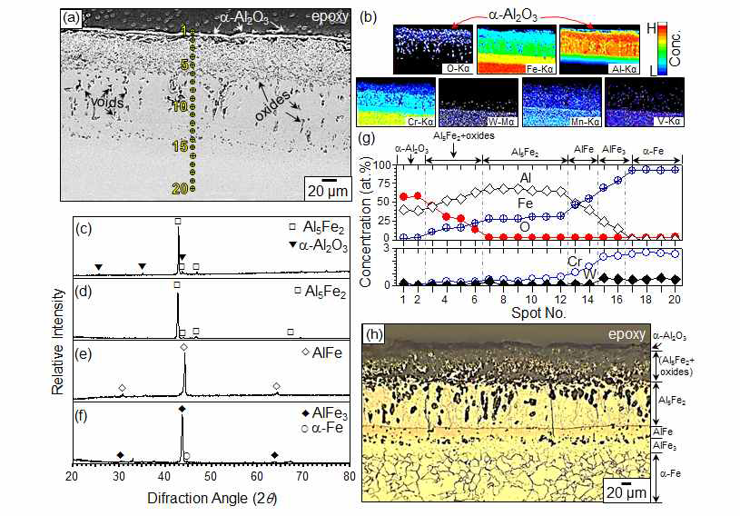 Hot-dip aluminized ASTM T23 steel after oxidation at 700℃ for 20 h in air. (a) EPMA cross-sectional image, (b) EPMA maps of (a), (c-f) XRD patterns, which were taken after oxidation at the surface and after successive grinding, (g) SEM-EDS concentration profile of spots 1-20 shown in (a), and (h) cross-sectional OM image