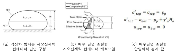 지오신세틱 컨테이너 구조체 해석 조건