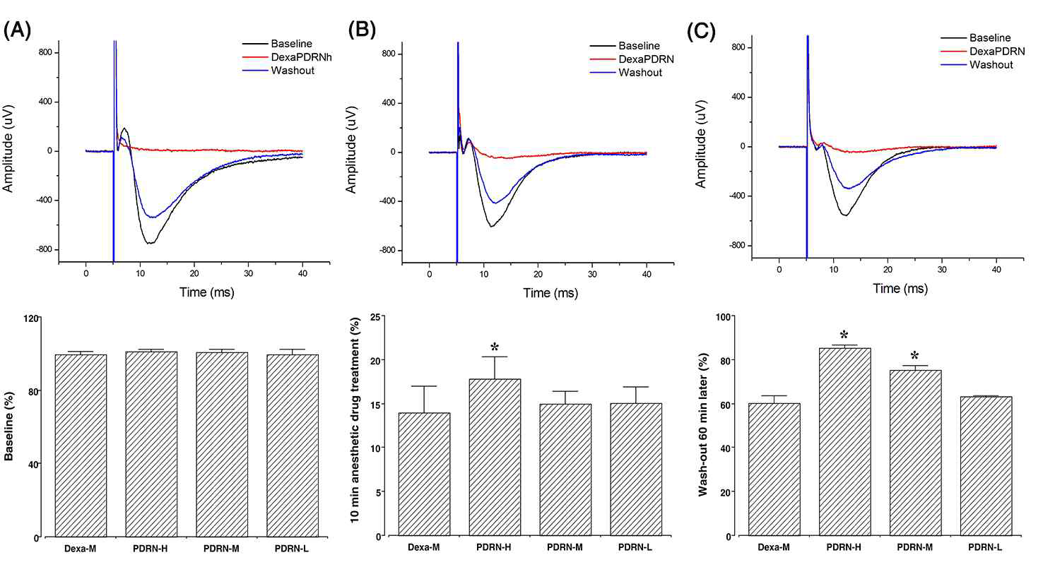 PDRN 처리시 traces와 농도별 fEPSP 진폭변화에 미치는 영향. (A) 100 μM dexaflurane+10 μM PDRN (B) 100 μM dexaflurane+5 μM PDRN (C) 100 μM dexaflurane+1 μM PDRN. (Dexa-H) 100 μ M dexaflurane, (PDRN-H) 10 μM PDRN, (PDRN-M) 5 μM PDRN, (PDRN-L) 1 μM PDRN. *P < 0.05 compared to the 100 μM dexaflurane group