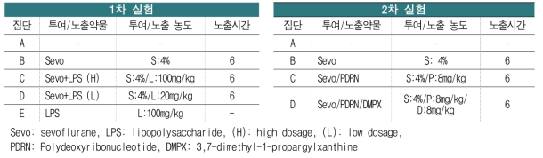 집단 분류 및 처치약물 프로토콜