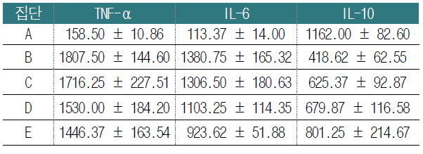 POCD유발 확인을 위한 염증성 사이토카인 발현 결과 (pg/ml)