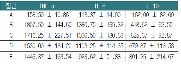 POCD유발 확인을 위한 염증성 사이토카인 발현 결과 (pg/ml)