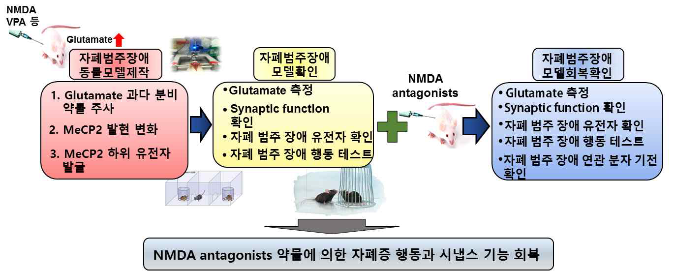 연구 개요