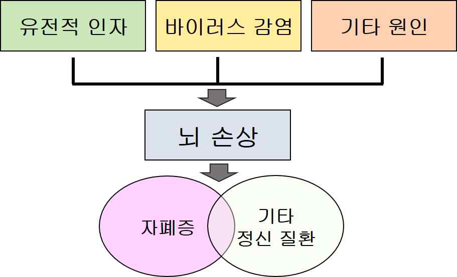 자폐 범주 장애 발병 원인