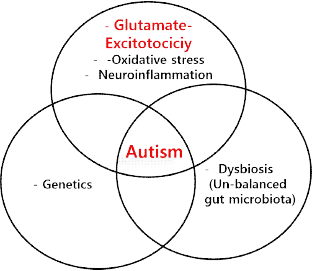 Glutamate에 의한 자폐 범주 장애 발생