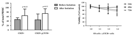 Cytotoxic activity of Ex vivo expanded γδ TCR+ cells in EX media against OS cell. (Left) After expansion culture in EX28 media, cells were enriched for γδ TCR+ cells using commercial kit according to the manufacturer's instructions and and analyzed by FACS. The percentages represent the averages and means ± SD from independent experiments with four different donors. (Right) Cytotoxic activity of enriched γδ TCR+ cells against OS cells analyzed using MTT assay according to the manufacturer's instructions, as indicated. The data represent the averages and means ± SD from two donors