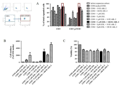 Optimum culture conditions with rhIL-2 and ZOL of human γδ TCR+ cells. PBMCs derived from healthy donors were stimulated by hrIL-2 and/or ZOL as indicated, and analyzed for expression of CD3 and γδ TCR+ cells by FACS (A). Total cell number was quantified by automated cell counter after 10 days of culture (B, C). The percentages represent the averages and means ± SEM from independent experiments with nine different donors