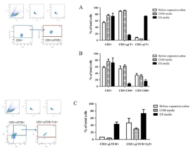 Co-stimulation of rhIL-2 and ZOL induces activation of human γδ TCR+ cells. 5X105 cells/ml of PBMCs derived from healthy donors were stimulated hIL-2 and ZOL as indicated, and analyzed by FACS after 10 days of expansion culture. The percentages represent the averages and means ± SD from independent experiments with four different donors