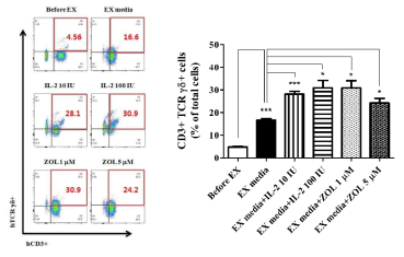 Expansion of Tγδ cells following hrIL-2±ZOL stimulation. PBMCs derived from healthy donors were stimulated by hrIL-2 or ZOL as indicated, and analyzed for expression of CD3 and γδ TCR by FACS. The percentages represent the averages and means ± SEM from independent experiments with two different donors in duplicate (***p<0.001, **p<0.01, *p<0.05)