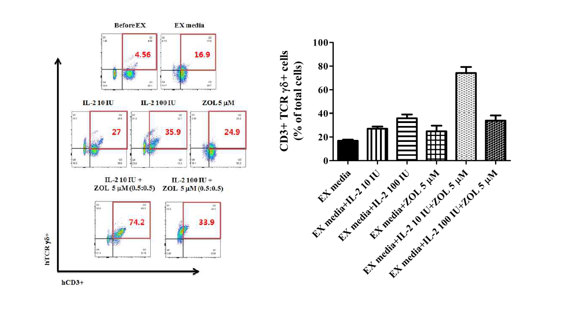 hrIL-2 enhances ZOL-mediated expansion of Tγδ cells. PBMCs derived from healthy donors were stimulated by IL-2±ZOL as indicated, and analyzed for expression of CD3 and γδ TCR by FACS. The percentages represent the averages and means ± SEM from independent experiments with one donor in duplicate