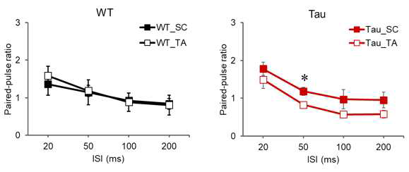 신경회로별 IPSC Paired-pulse ratio