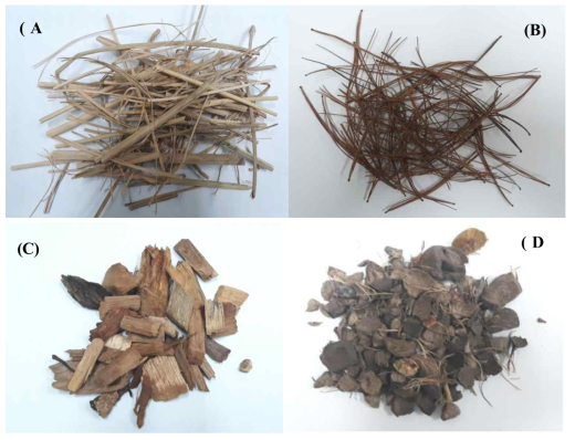 연소실험에 사용된 4종의 바이오매스 물질(A: 볏짚, (B) 솔잎, (C) Wood chips, (D) Palm trees