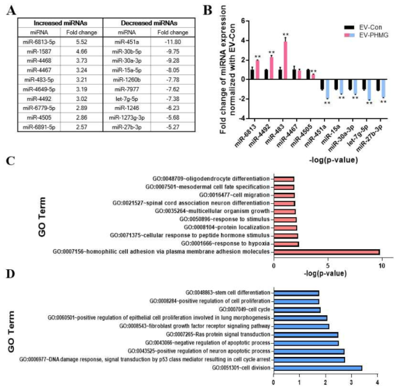유의적 증감을 보인 EV miRNA 분석