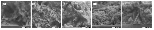 SEM image showing cross sectional view of CZTS thin films on Soda-lime glasses. (a) CNH, (b) C150, (c) C200, (d) C250, and (e) C300