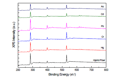 섬유형 흡착제의 XPS 그래프