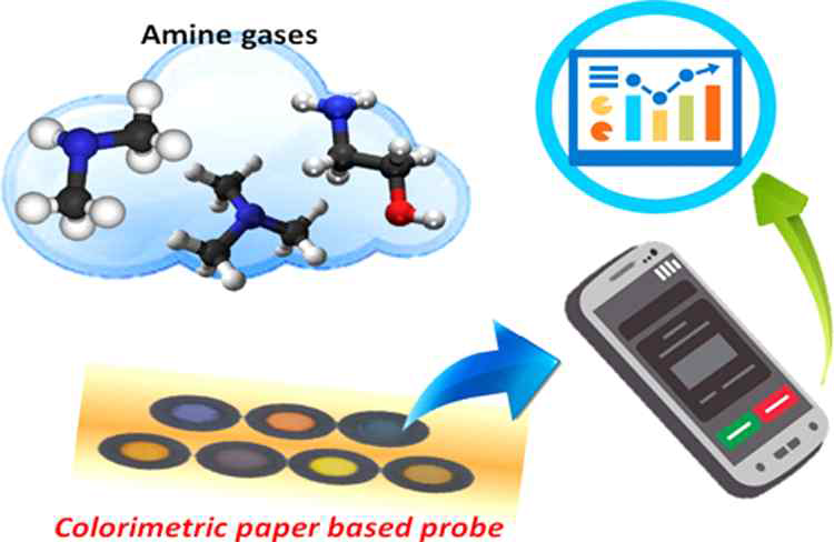 개발된 종이 기반 탐침의 기체 아민 화합물 검출법의 개요도