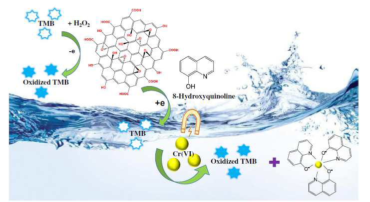 그래핀 옥사이드, H2O2 및 TMB의 결합을 기반으로 하는 크롬(VI)의 광학적 검출법