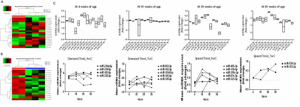 말단비대증 동물모델에서 Total RNA Sequencing을 따른 뇌하수체 종양내 miRNA발현 비교 Heat map (A, B). 발단비대증 동물 모델 연령 변화에 따른 뇌하수체 내 miRNA 발현 real time PCR 변화