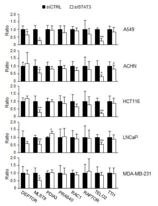 다양한 암세포 주를 siCTRL (–) 또는 siSTAT3 (+)를 처리한 후 72 시간 후에 qRT-PCR를 이용하여 mRNA 발현 정도를 분석하고 정량하였다. *, 통계적으로 유의미한 차이를 보이는 그룹을 표시하였다