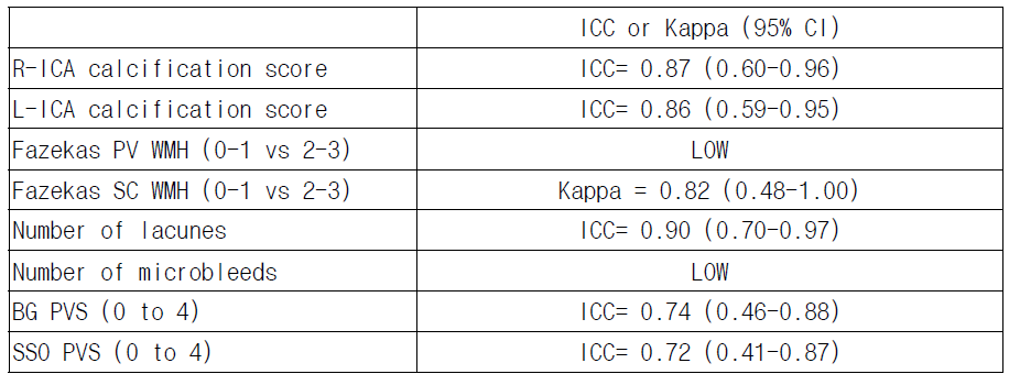 뇌혈관석회화 및 대뇌소혈관질환을 시사하는 영상소견의 분석 일치도 평가