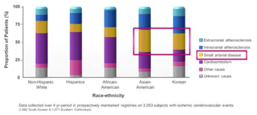 서울과 로스앤젤레스의 병원에서 조사한 허혈성 뇌졸중 원인의 인종간 비교