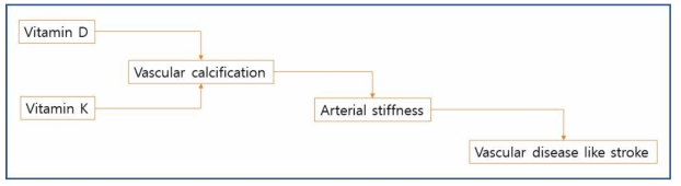 Possible pathway from vitamin D deficiency to vascular disease