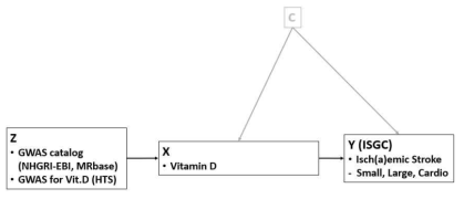 DAG: vitamin D – ischemic stroke