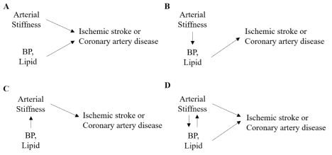 혈관 경직도, 혈압, 그리고 지질과 혈관질환과의 causal relation의 가능한 조합