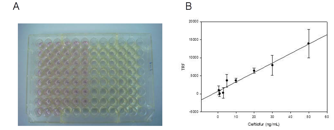 비경합 TRFIA에 의한 ceftiofur 측정 시 면역반응 중인 microplate(A)와 농도의존적 TRF 반응(B). 그림 A에서 분홍색 well은 “simultaneous analyte and conjugate reaction”에 의하여 면역반응 중인 well을 나타내며 그림 B에서 직선의 상관계수(R)는 0.9807임