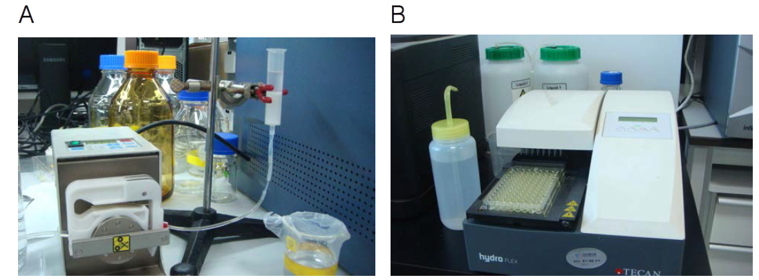 Eu-항체 conjugate 정제 시스템(A) 및 Washer 시스템에 의한 microplate washing(B)